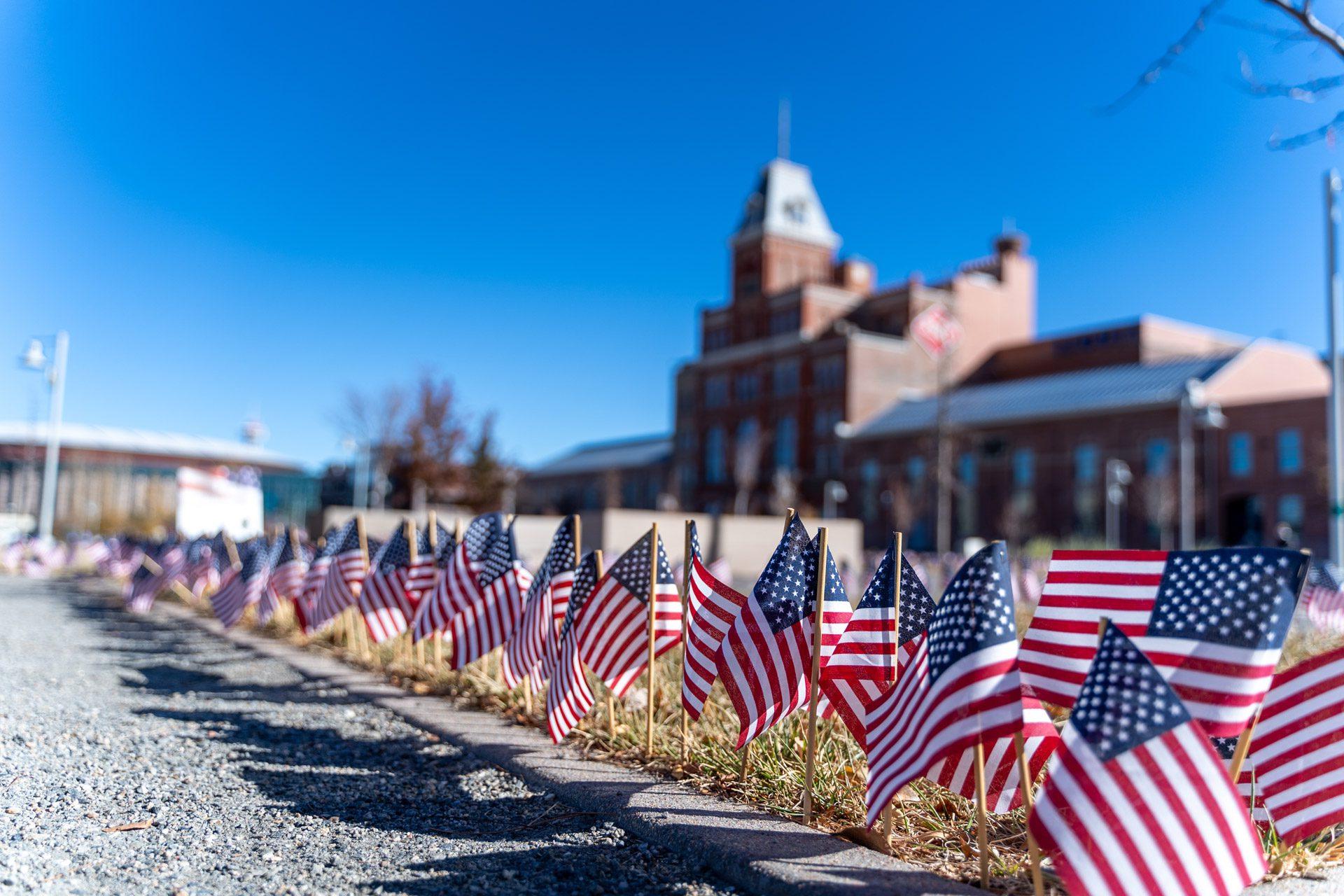 Mini American flags planted in the grass in front of the Tivoli